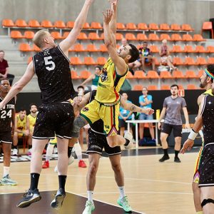 Basket