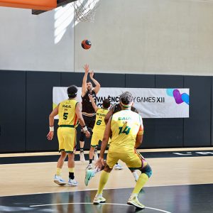 Basket