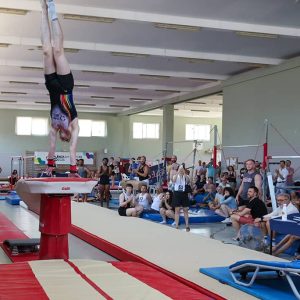 Gimnasia Artística