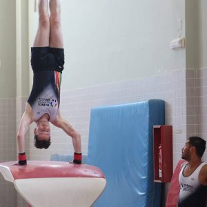 Gimnasia Artística