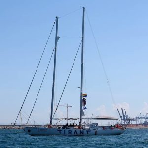 Vela